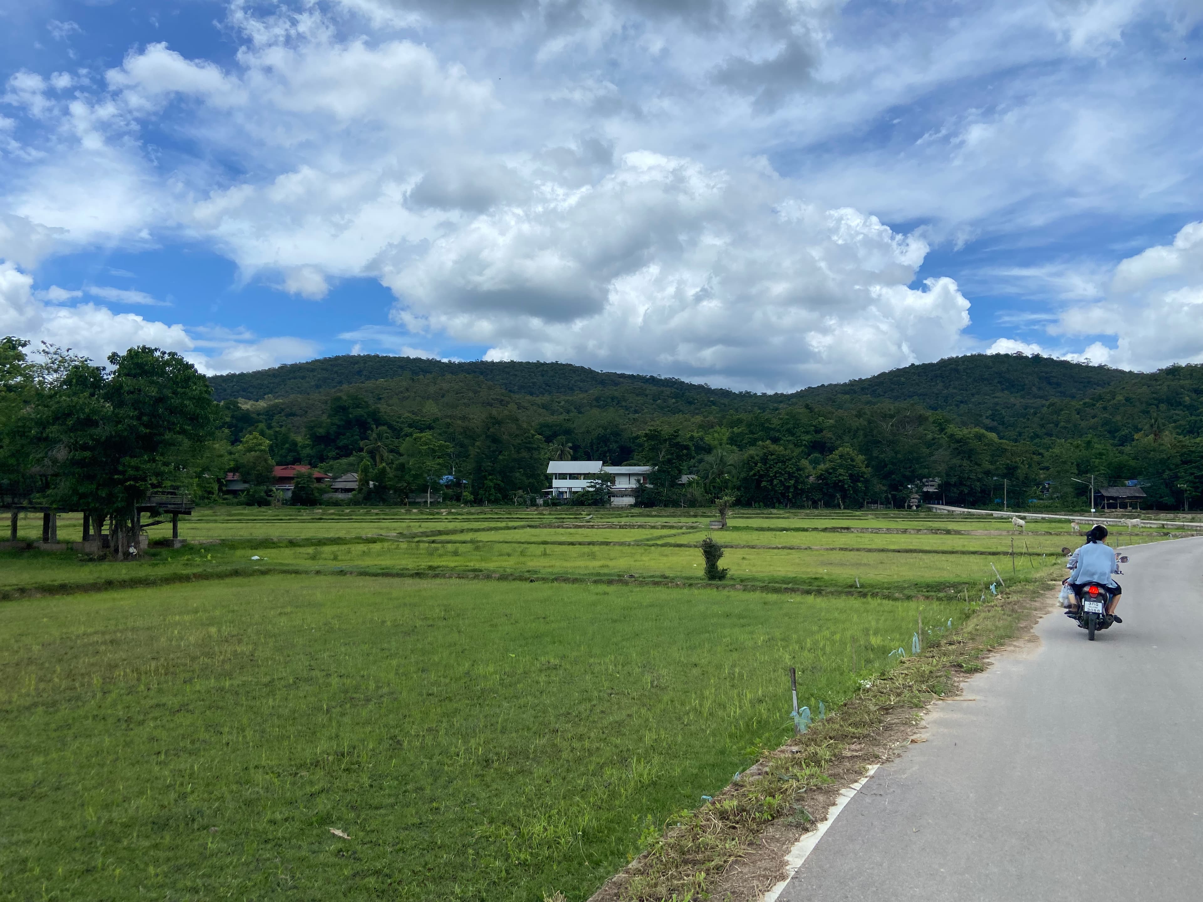 Mae On landscape