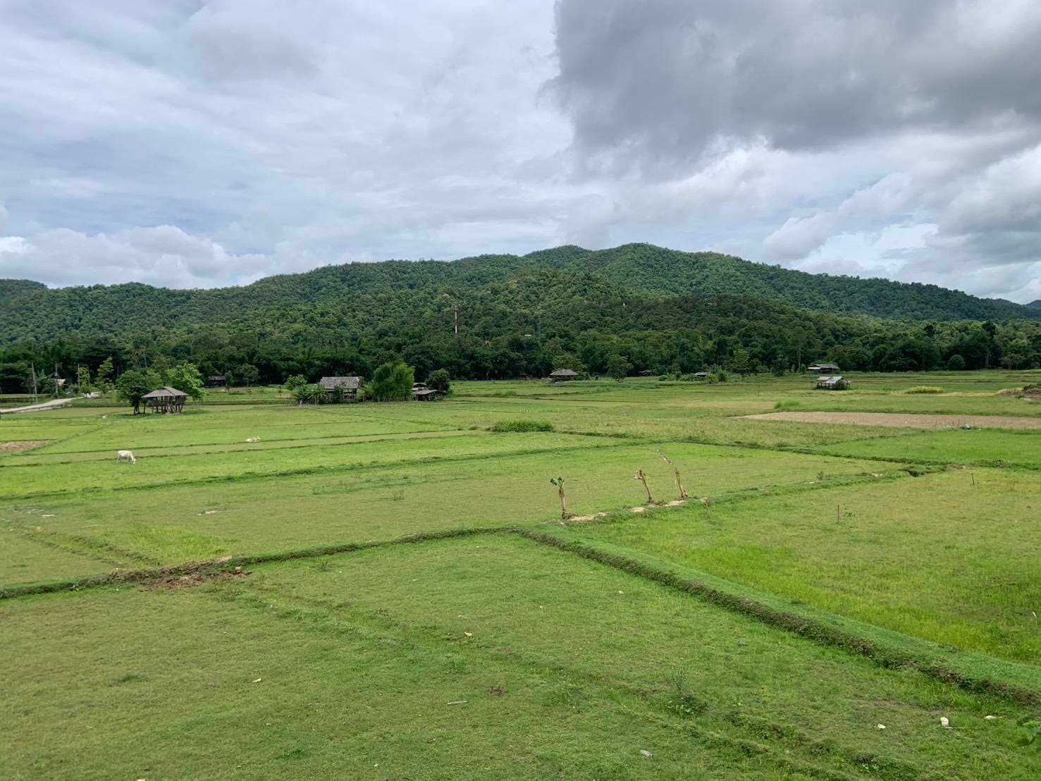 Yuwoglow cover, site / Mae On landscape